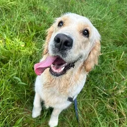 Jack S. Profile Picture