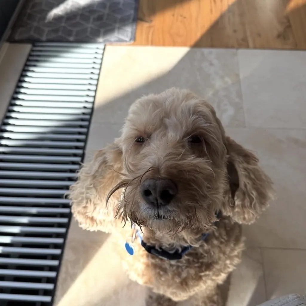 Logan B. Profile Picture